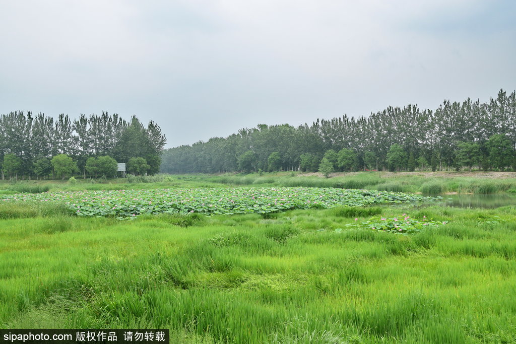 昌平区温榆河支流蔺沟河