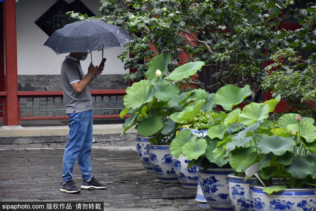 北京市通州区发布雷电黄色预警