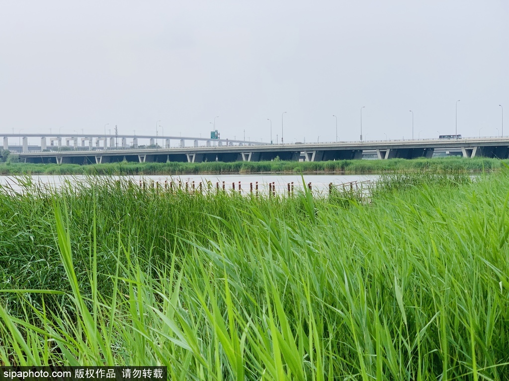 炎炎夏日，永定河畔觅清凉