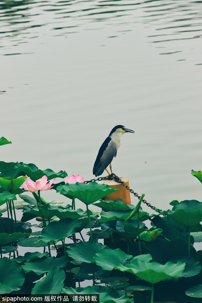 北京旅游网资源库京城美景