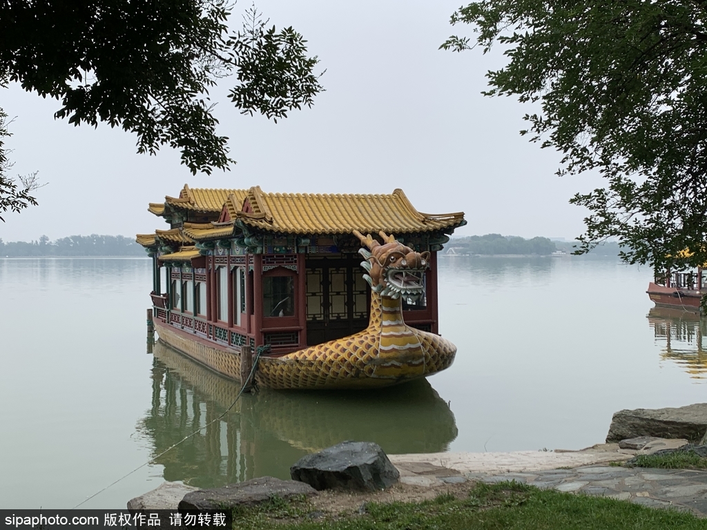 雨后京城颐和园：暑伏蝉脱壳，烟雨朦胧境