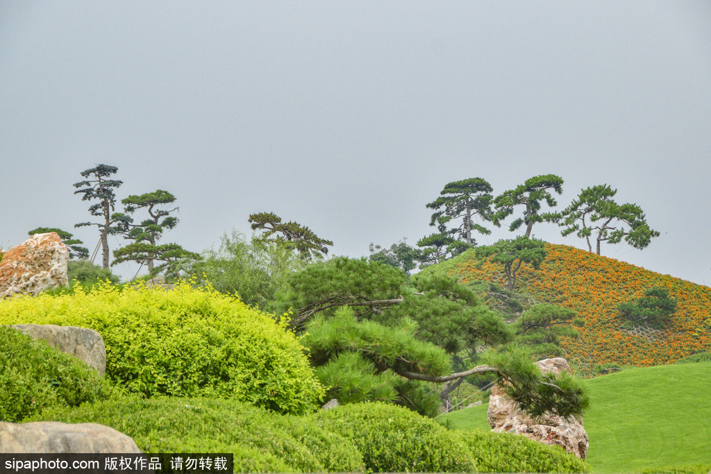 北四环路旁的“顺景公园”