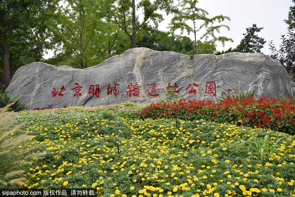 打卡10条“漫步北京”线路：漫步明城墙遗址公园