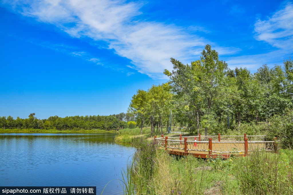 走栈道沙丘，观湖望景的东郊湿地公园