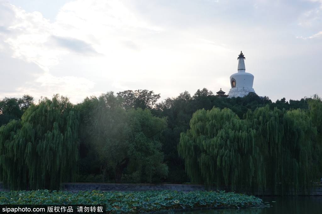 什刹海水天一色，北海白塔下游船双桨荡起