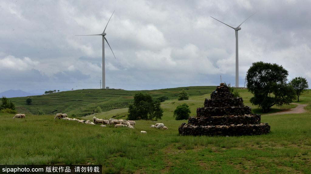 张家口：坝上风电场点缀草原