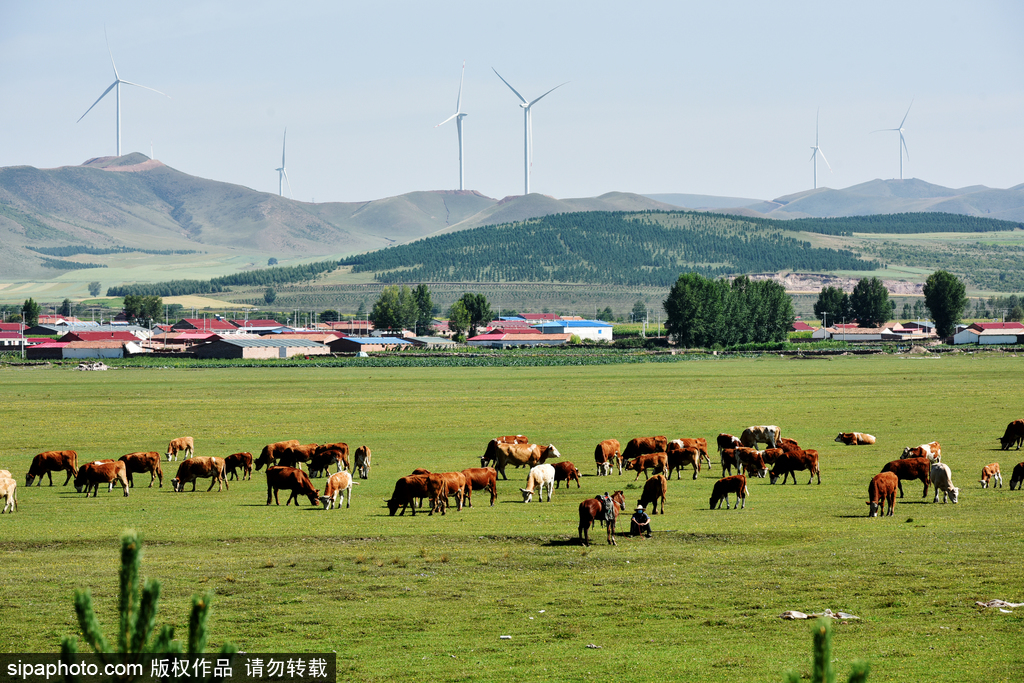 河北承德：草原风情