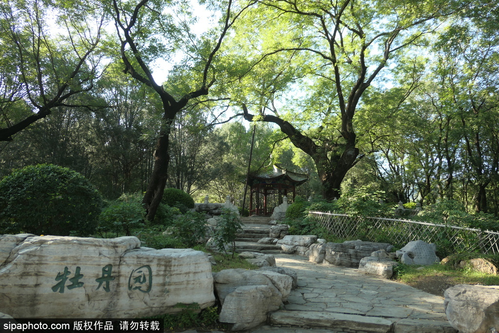 香山脚下植物园秋色渐浓