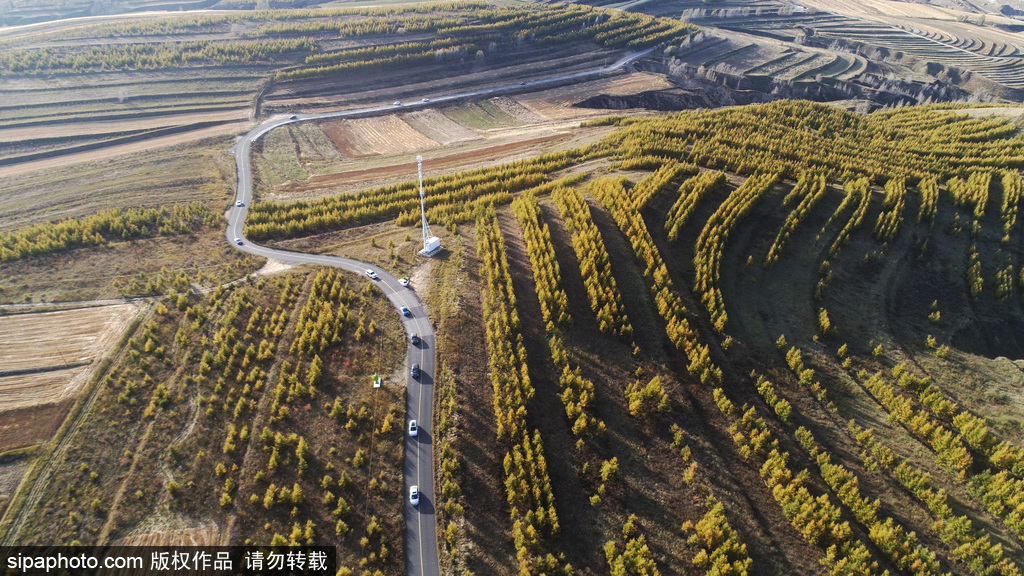 张家口：草原天路秋景如画