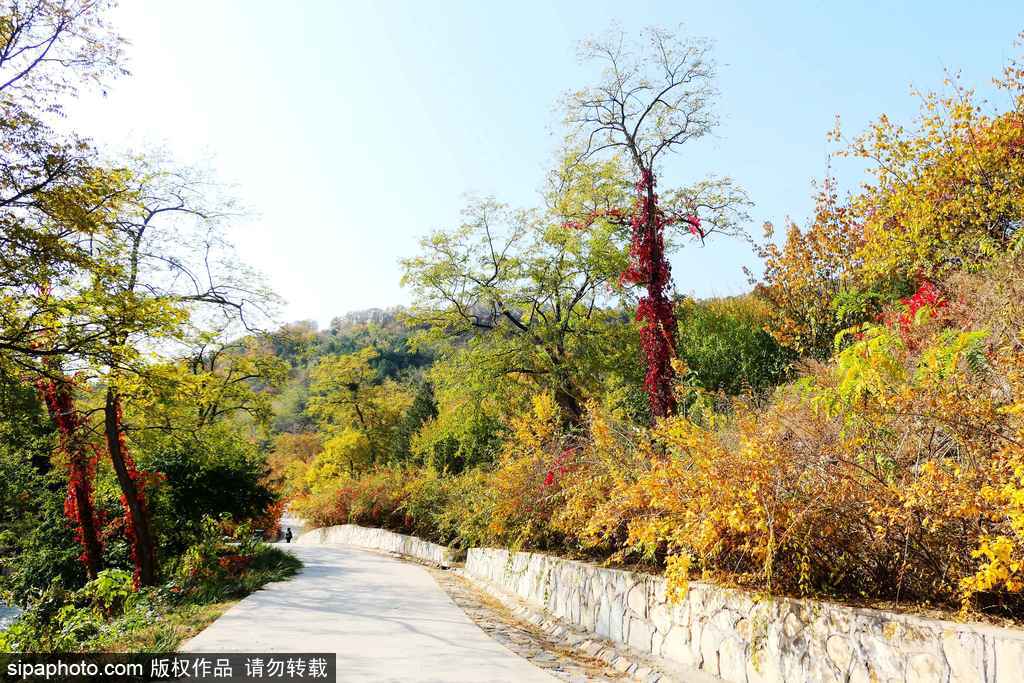 北京西山国家森林公园，秋色令人迷醉
