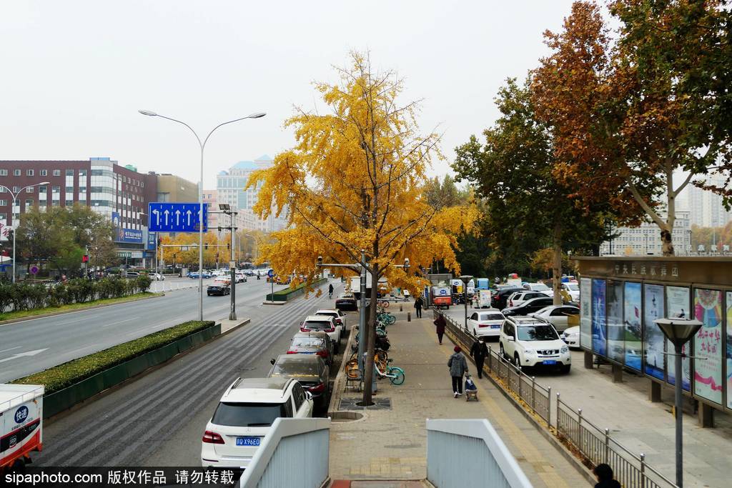 京城正式供暖，街头“秋色”依旧灿烂