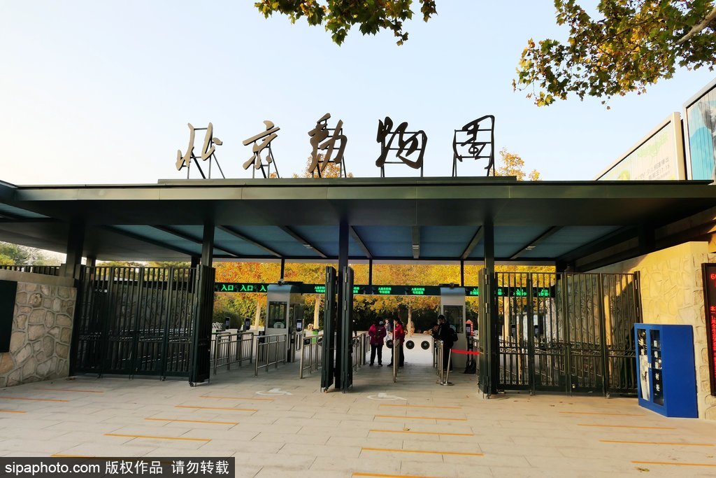 北京动物园旧门谢幕载入史册 新二号门开启正式迎客