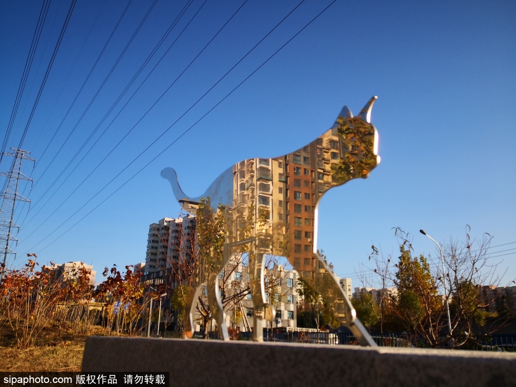 北京五福玲珑公园，竟然还是猫咪们的乐园