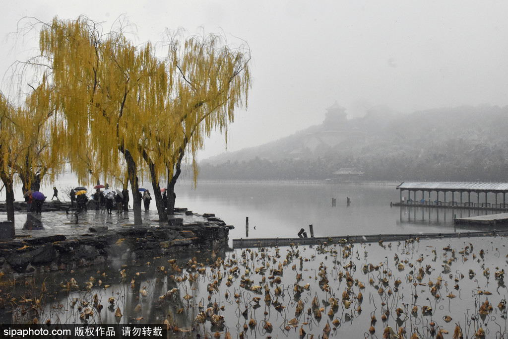 颐和园景区雪后惊现平流雾奇观 云雾飘渺宛如仙境