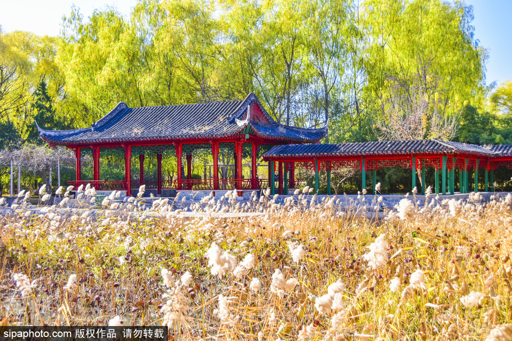 首家由地方乡政府进行管理的朝阳望京公园