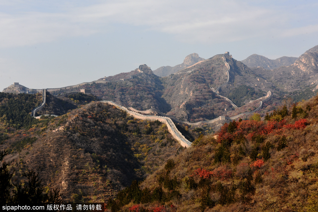 延庆：秋叶炫动古长城