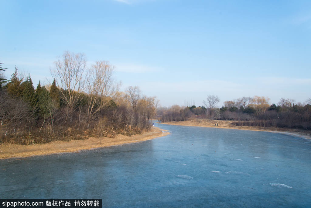 奥林匹克森林公园寒冬时节风景美如画