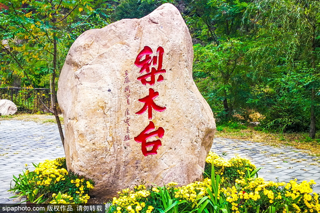 “热带雨林”梨木台