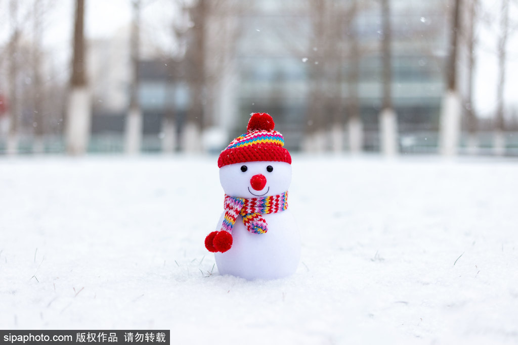 北京清华科技园雪景