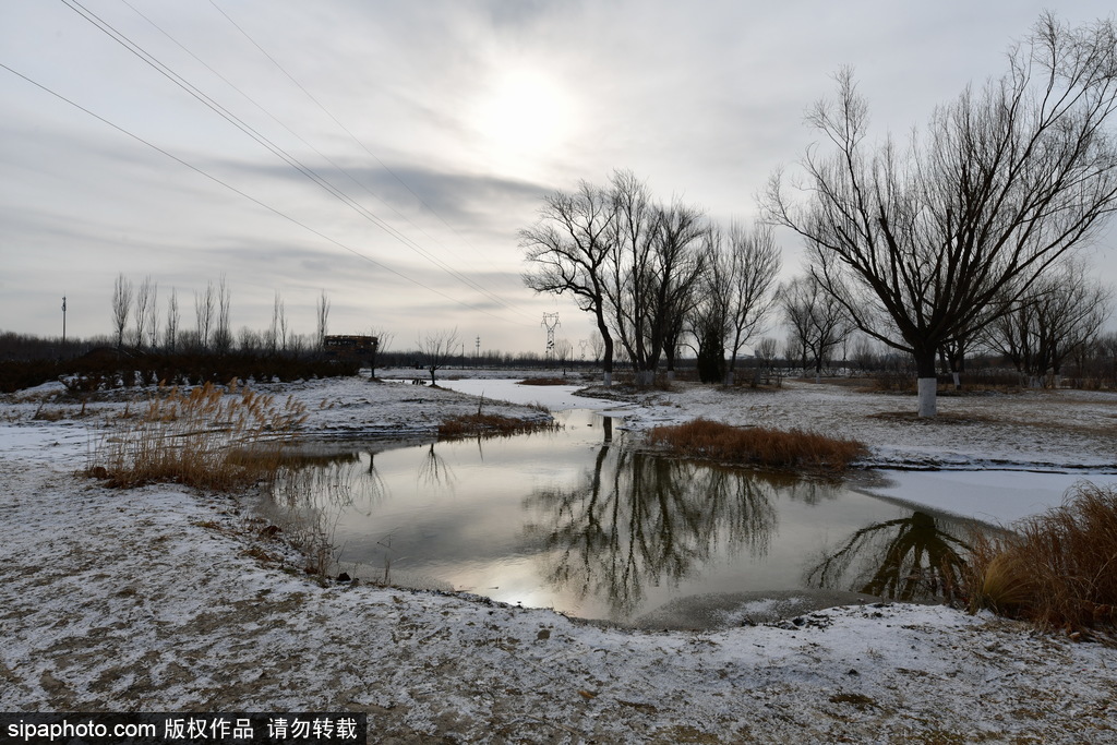 温榆河郊野公园的雪景美如画