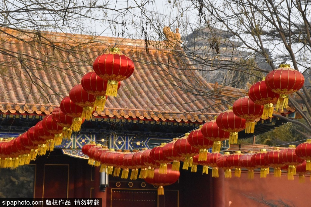 大红灯笼辉映古建角楼年味浓