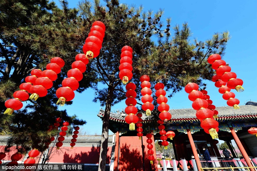 串串红灯笼“点亮”圆明园，就地过年春节免费开放