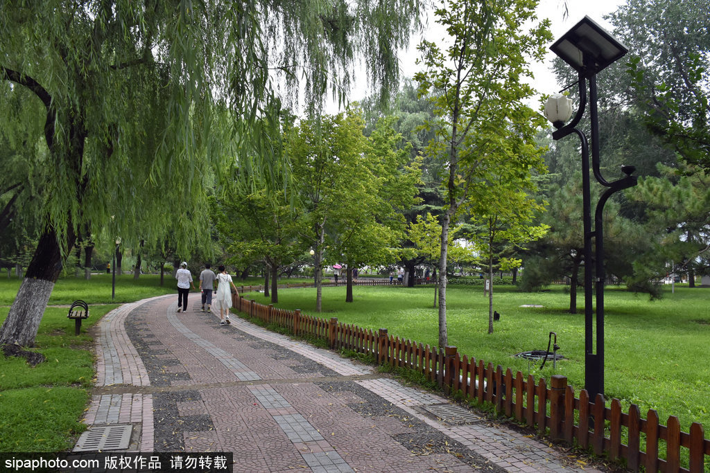 北京莲花池公园“增彩延绿”扩建项目再添成果
