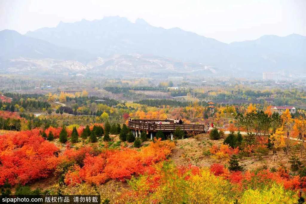 丘陵、溶洞、古寺……这条最美公交线沿途风景美翻了！