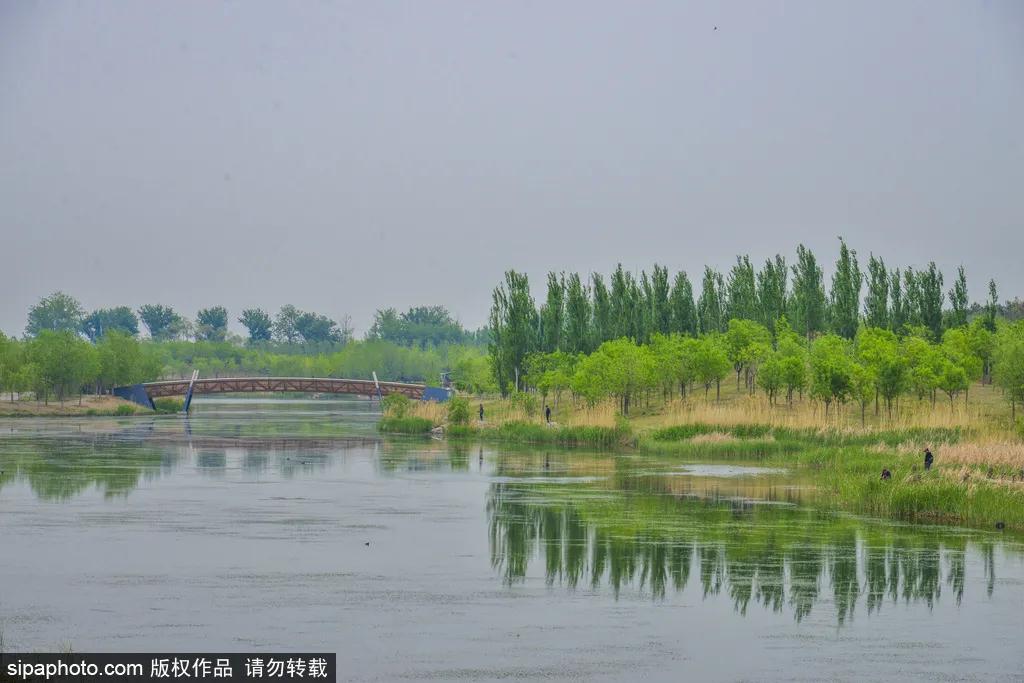 不用专门下江南~来马家湾湿地公园就够了！