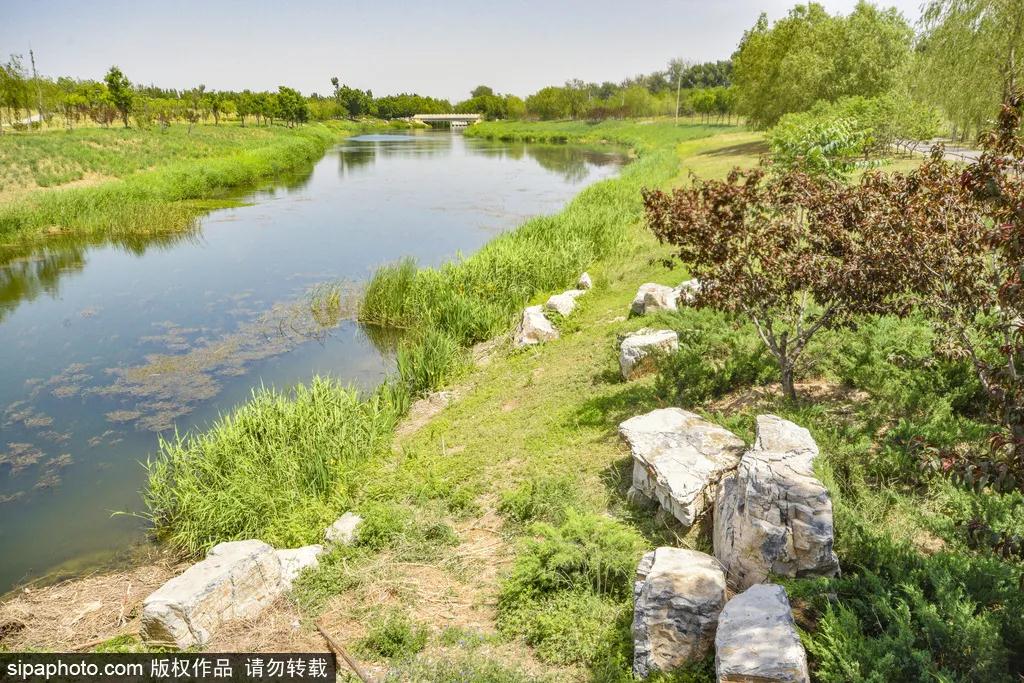 马家湾公园木栈道