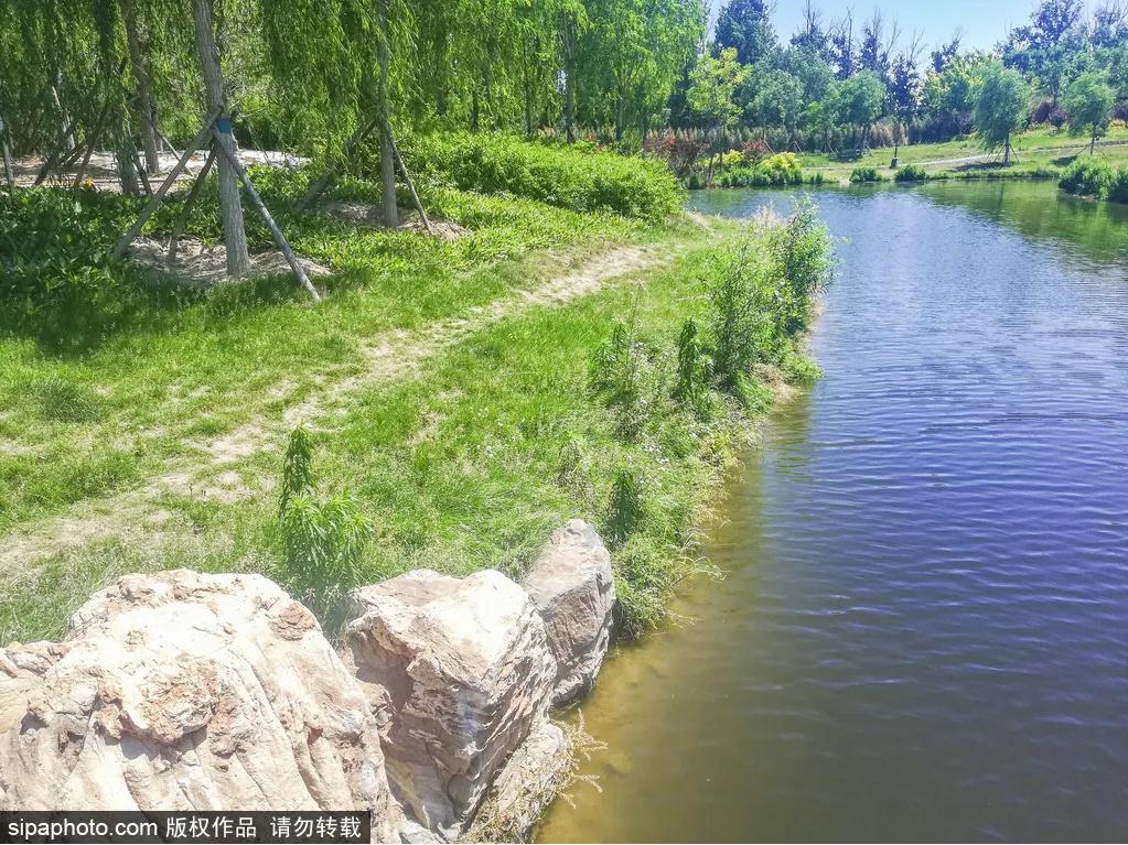 消夏好去处：新风渠湿地