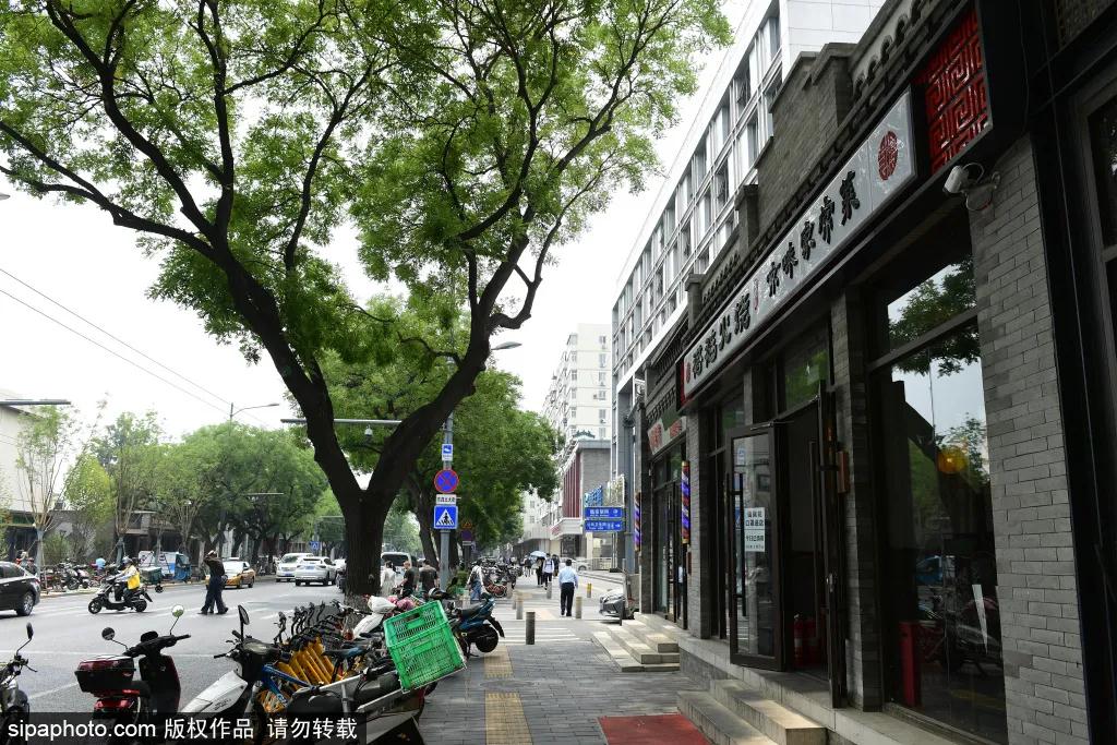 盛夏美翻天，北京这条大街竟藏35处微花园