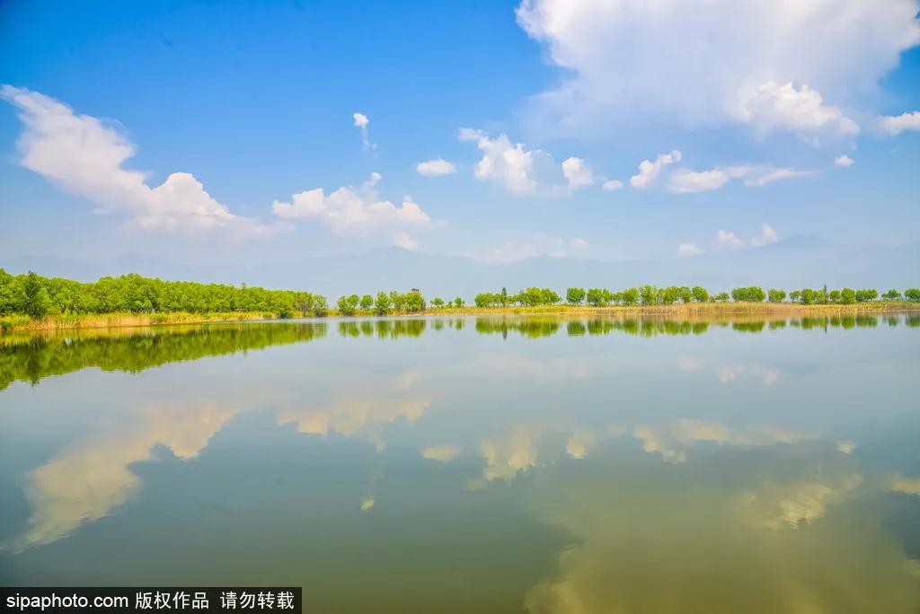 夏日亲水 就来野鸭湖国家湿地公园