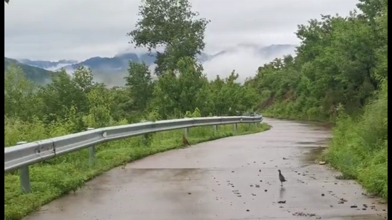 如入仙境！雨后怀柔山间雾气缭绕 山峦苍翠欲滴