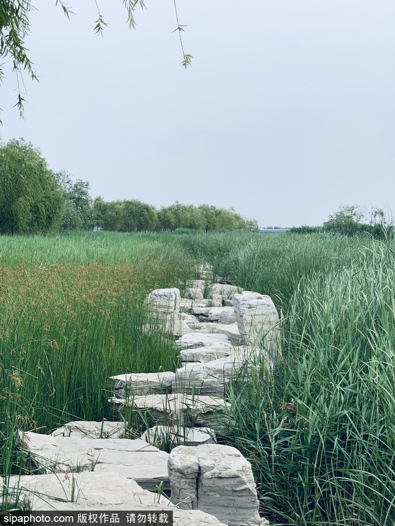 暑期畅游：永定河畔风景带