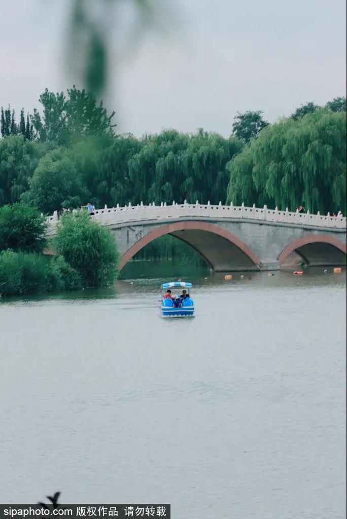 消夏胜地：南海子公园