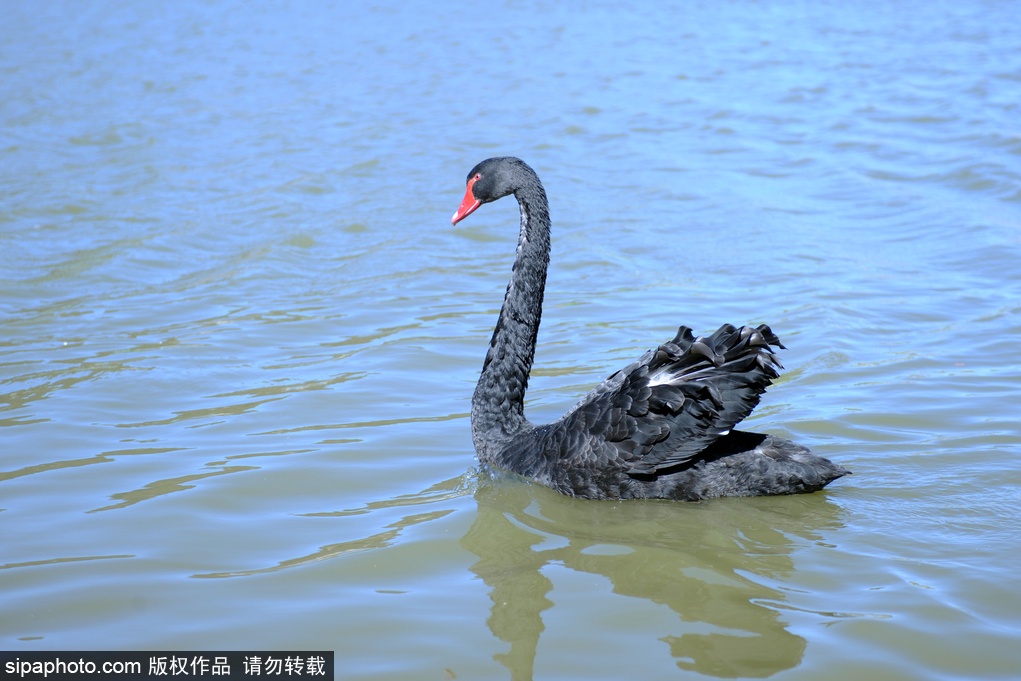 消夏好去处：海坨山谷