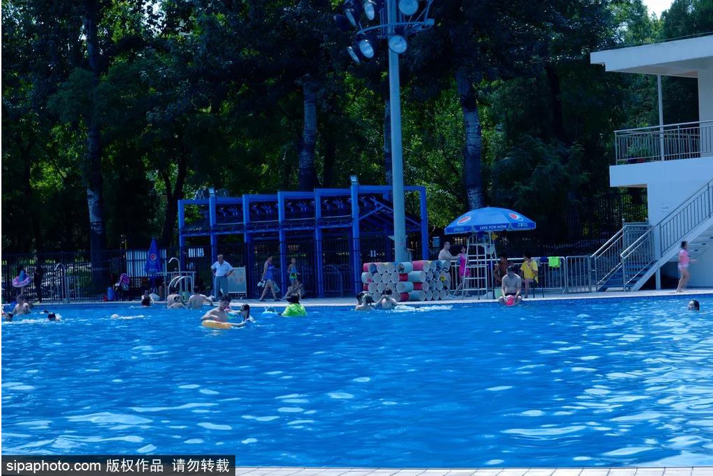 炎炎夏日 相遇青年湖公园