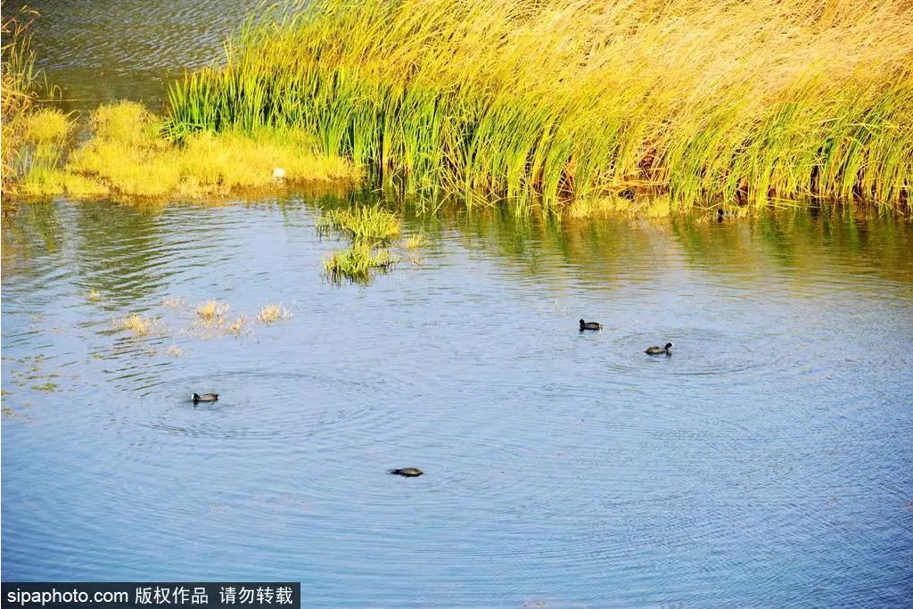 2021年北京市体育旅游十佳精品景区京郊篇：青龙湖水上游乐