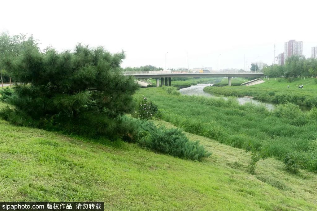 野趣十足的免费公园，还有石榴！周末约起