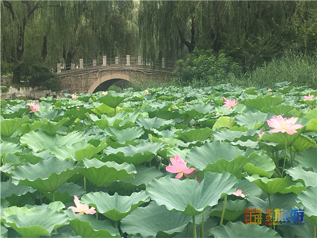 北京市内唯一的山村野趣公园柳荫公园