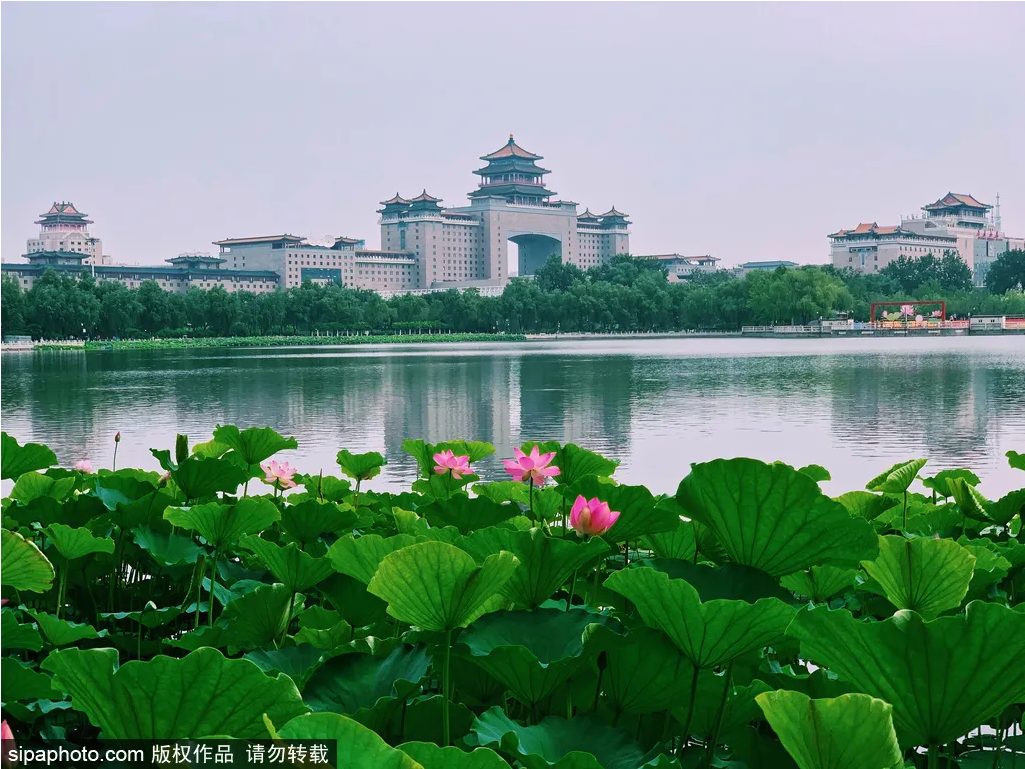 莲花池公园：北京市一级古遗址公园