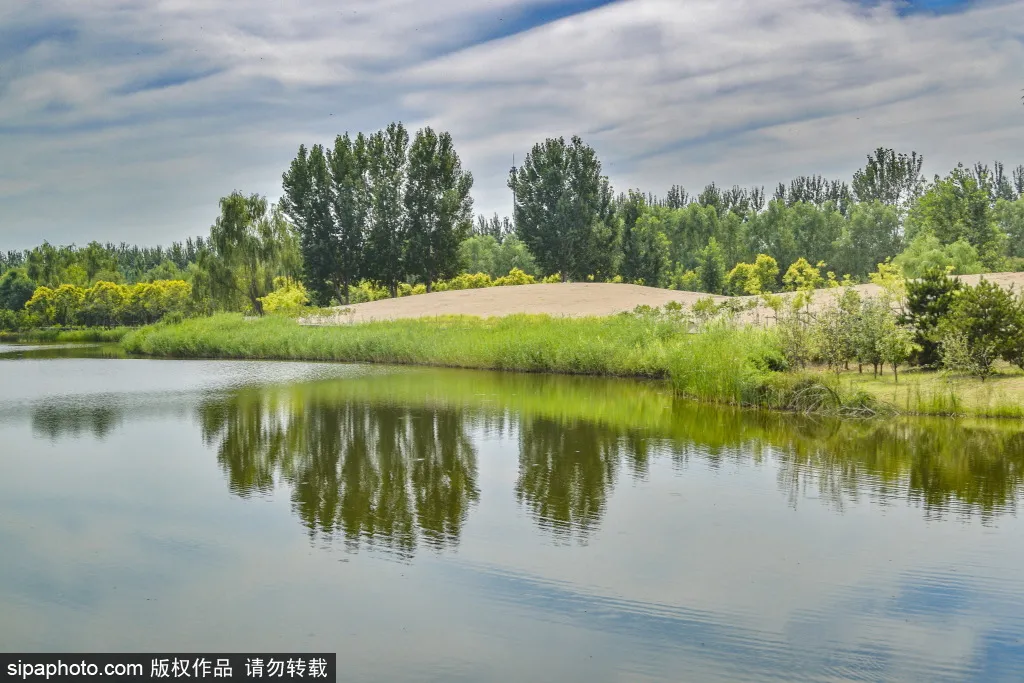 休闲小憩好去处：东郊湿地公园