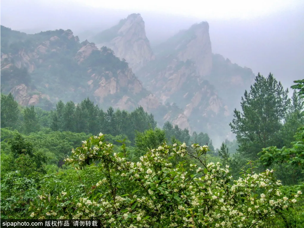 远离喧嚣的静谧氧吧：云蒙山国家森林公园