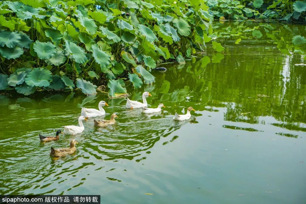 人少景美的福海公园