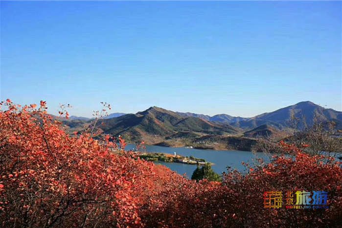 “北京·2021年中国农民丰收节”在平谷金海湖开幕啦
