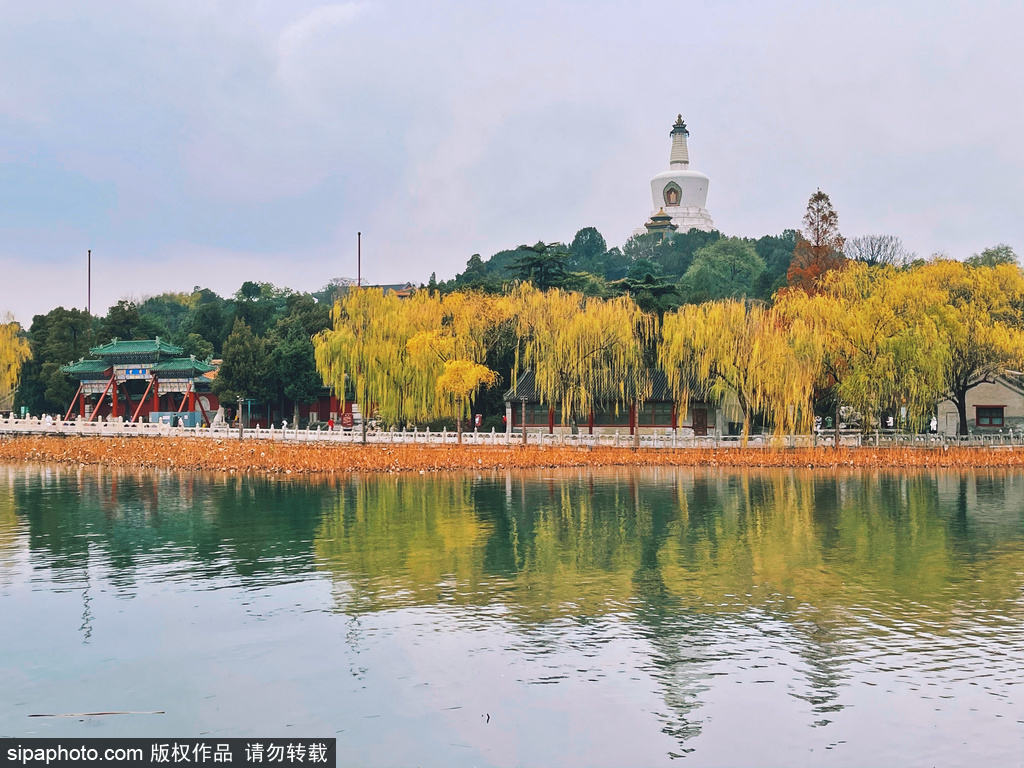 最美北京在秋季 北海公园漫游记 - 知乎