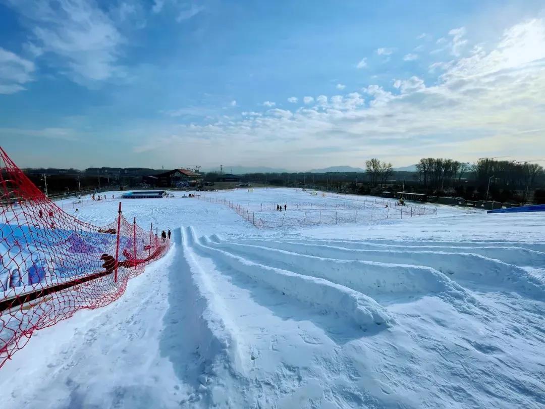 北京世园公园戏雪赏冬景 畅快玩儿雪