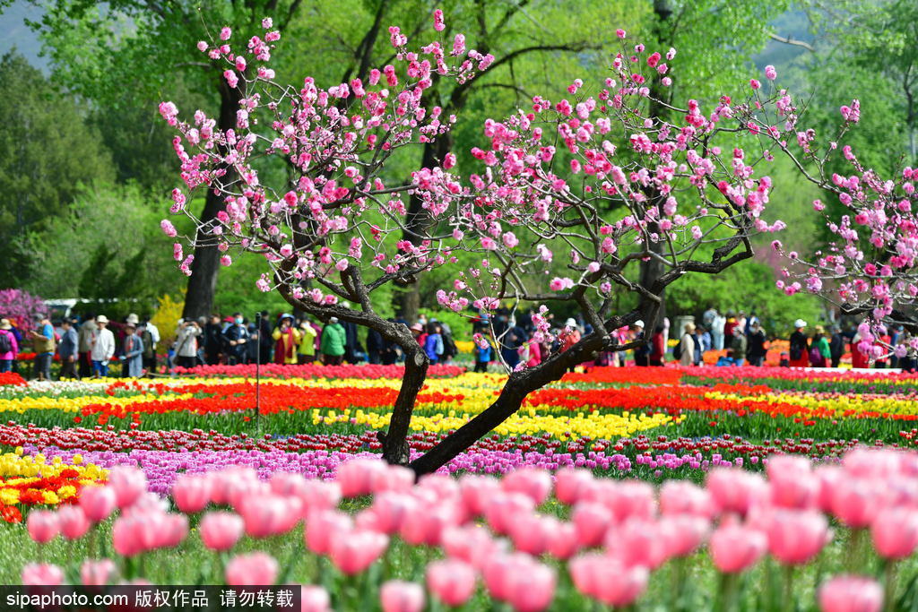 北京：国家植物园今日揭幕
