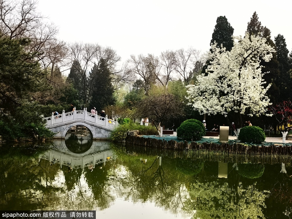 奇花异草汇魔都！这处隐于闹市的“凤梨景观”值得一看！